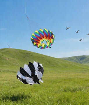 Grote Regenboog Vlieger - Nylon Parachute Vlieger voor Professioneel Vliegeren