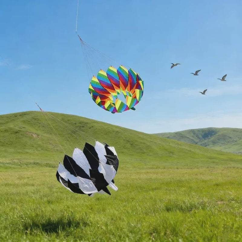 Grote Regenboog Vlieger - Nylon Parachute Vlieger voor Professioneel Vliegeren