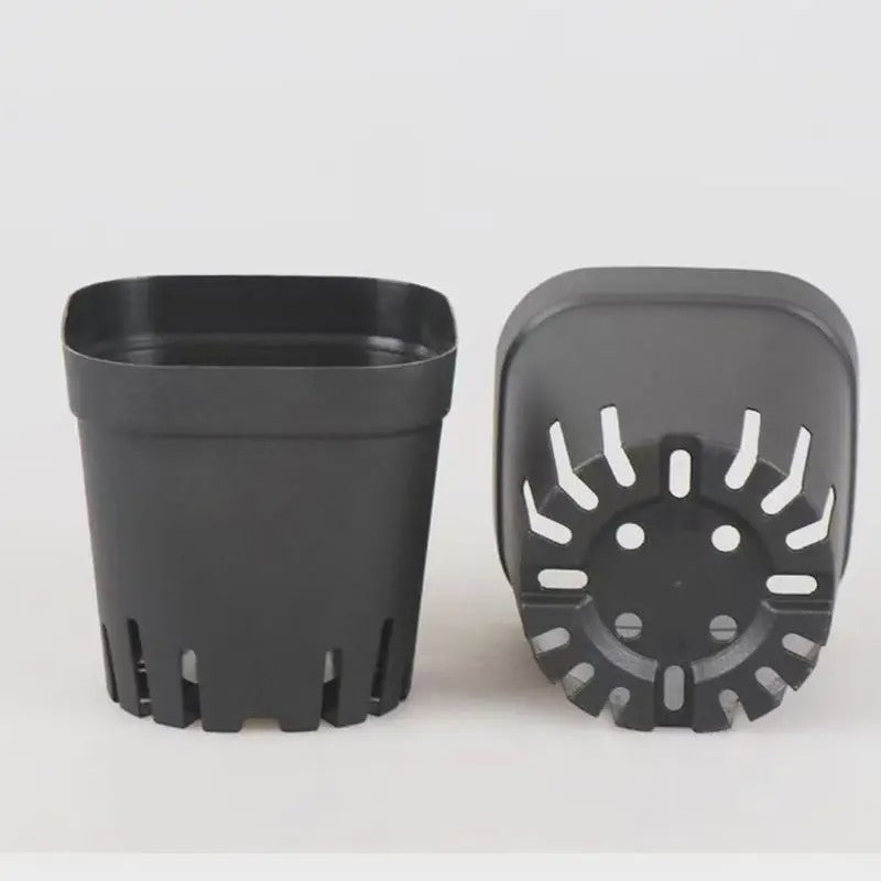 50 Stuks Vierkante Plastic Kweekpotjes voor Zaailingen en Planten
