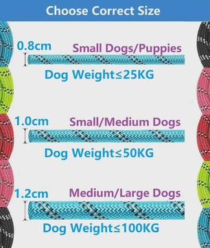 Sterke Hondenlijn met Zacht Handvat - 120/150/200/300cm - Voor Kleine tot Grote Honden