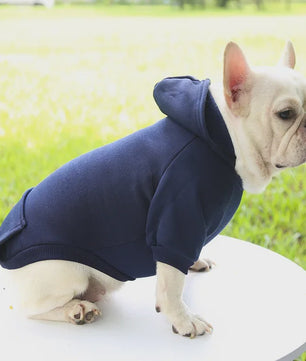 Warme Hondenhuisjes Hoodie voor Herfst & Winter - Comfortabele Pet Kleding