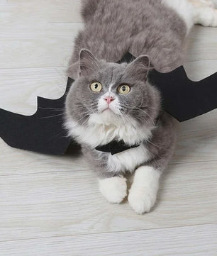 Zwarte Vleermuisvleugels Kostuum voor Kat en Hond - Feestelijke Cosplay Outfit