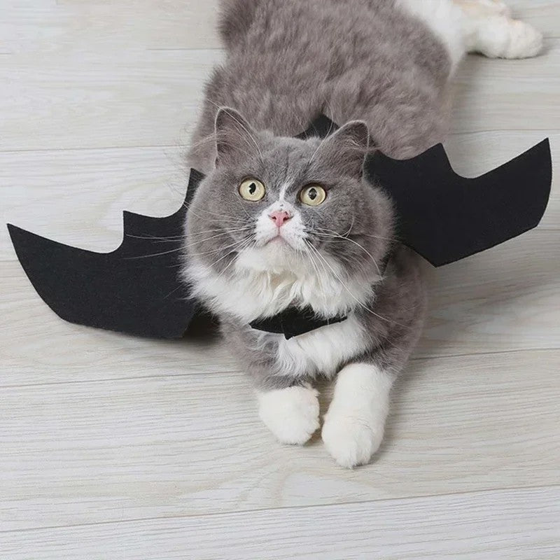 Zwarte Vleermuisvleugels Kostuum voor Kat en Hond - Feestelijke Cosplay Outfit
