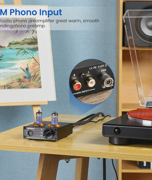 AIYIMA T3 HiFi Vacuum Tube Phono Preamplifier voor Platenspeler