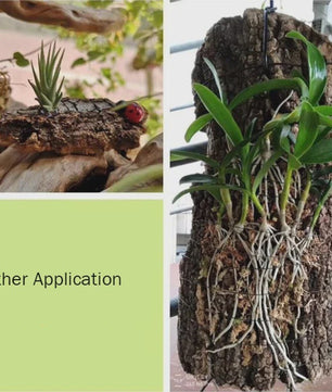 Natuurlijke Boomschors Decoratie voor Aquarium & Terrarium - Creëer een Realistische Achtergrond