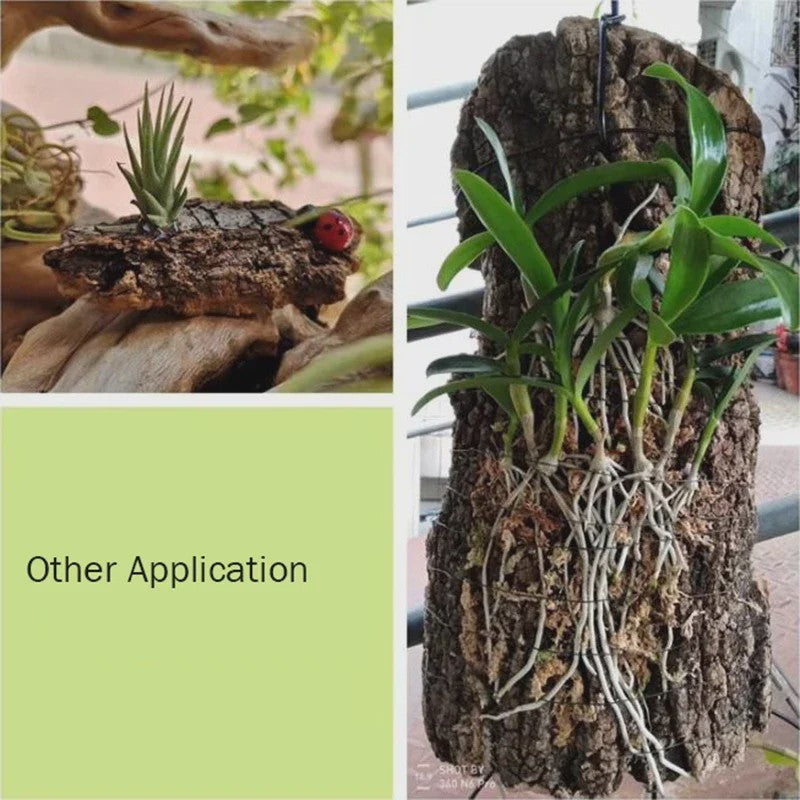 Natuurlijke Boomschors Decoratie voor Aquarium & Terrarium - Creëer een Realistische Achtergrond