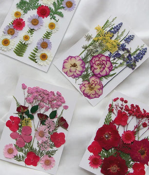 Set Gedroogde Bloemen & Bladeren (16-19 Stuks) - Natuurlijk & Realistisch