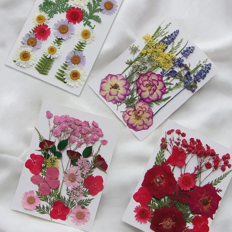 Set Gedroogde Bloemen & Bladeren (16-19 Stuks) - Natuurlijk & Realistisch