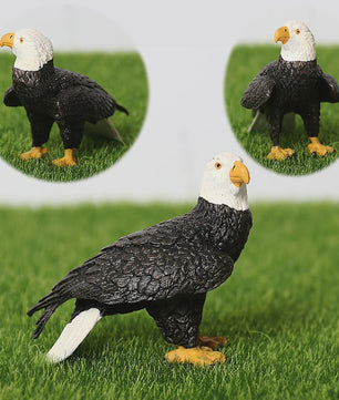 Realistische Roofvogel Figuren Set: Adelaar, Gier & Secretarisvogel - Educatief Speelgoed