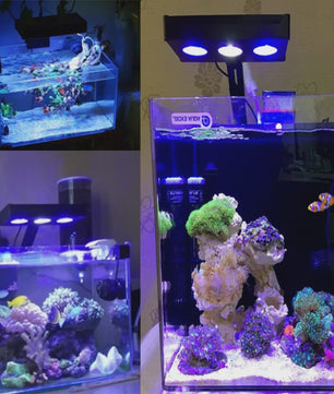 Spectra Nano 029 Aquariumverlichting 30W - Zoutwater, Koraalrif & Vistank met Touch Control