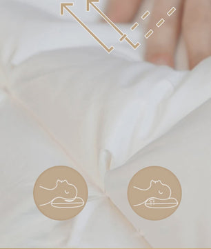 Luxe 100% Ganzendons Kussen - Winter Collectie - Queen/King Size - Katoen