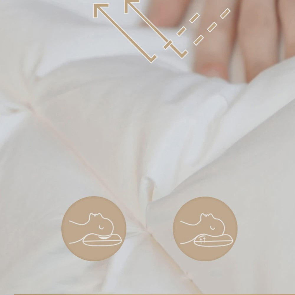 Luxe 100% Ganzendons Kussen - Winter Collectie - Queen/King Size - Katoen