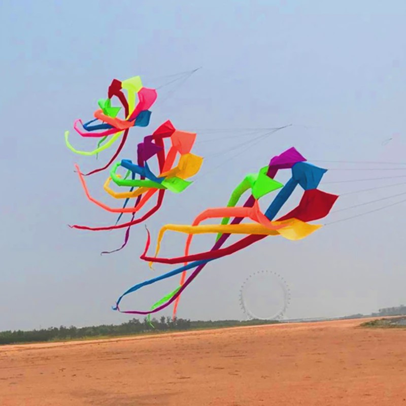 Grote 6 Meter 3D Regenboog Vlieger - Krachtige Outdoor Speelgoed Vlieger voor Plezier