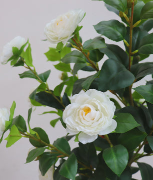 Set van 2 Kunst Camellia Bomen - Realistische Kunstplant met Bloemen en Pot - 180cm