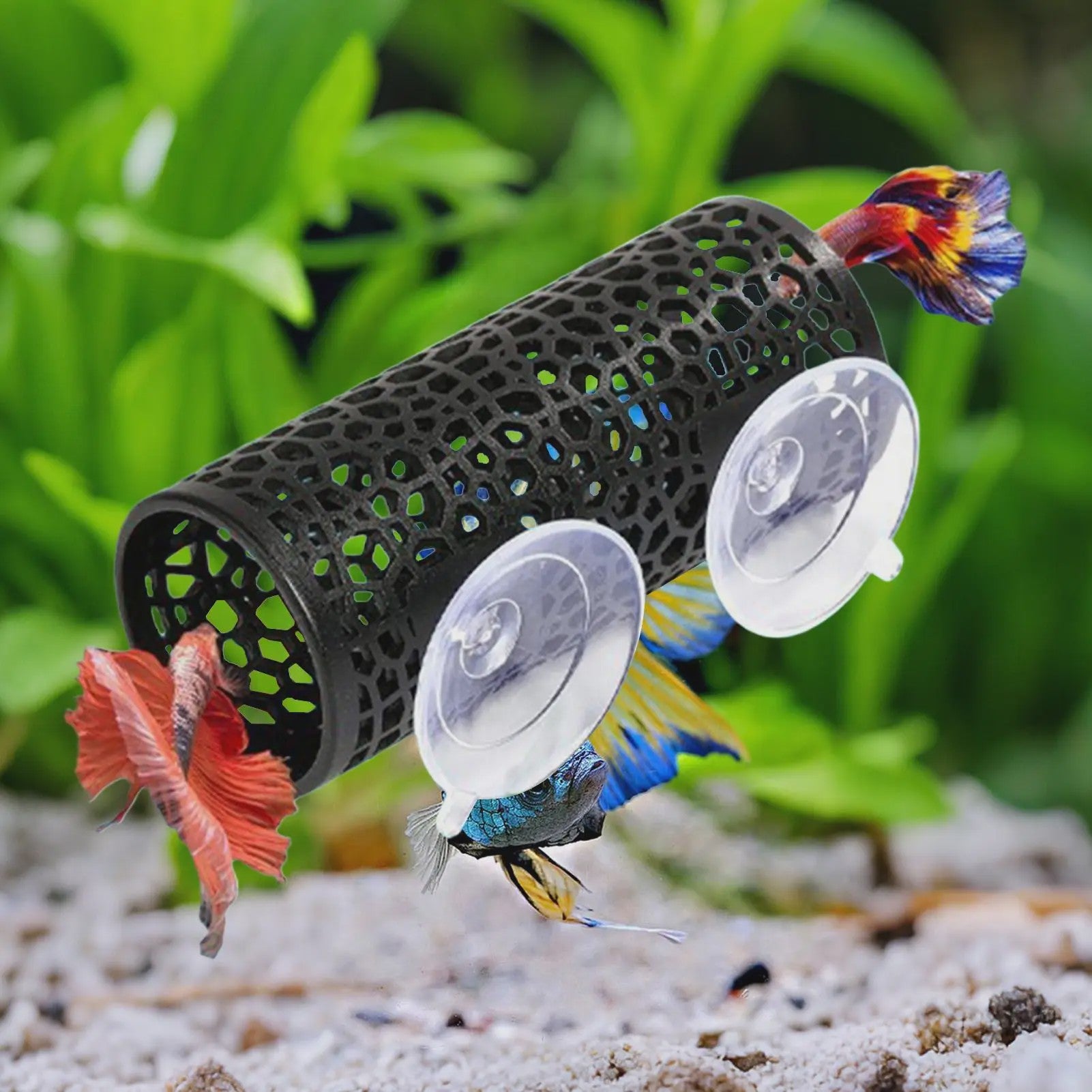 Betta Vis Schuilplaats Tunnel met Hangmat Bed - Aquarium Decoratie voor Kleine Vissen, Garnalen & Kreeftjes