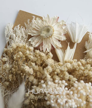 Set Gedroogde Bloemen & Hydrangea voor Ambacht & Decoratie