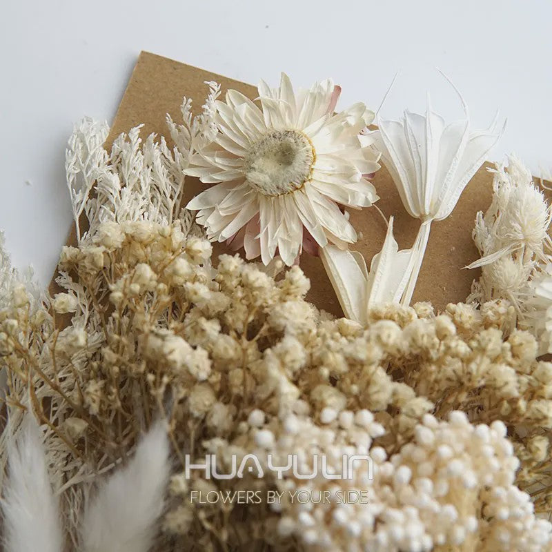Set Gedroogde Bloemen & Hydrangea voor Ambacht & Decoratie