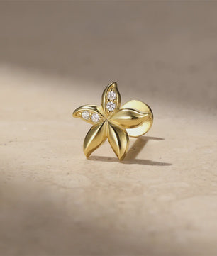 925 Sterling Zilveren Kolibrie Oorbellen Dames - 18K Goudkleurig Platte Achterkant Studs