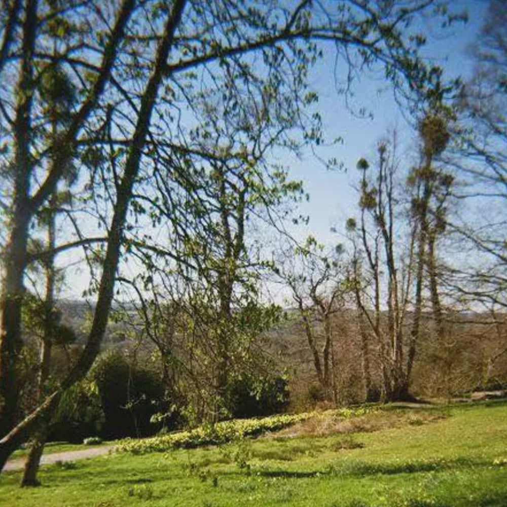 Kodak PURE35 Retro Filmcamera - Herbruikbaar met Ingebouwde Flits