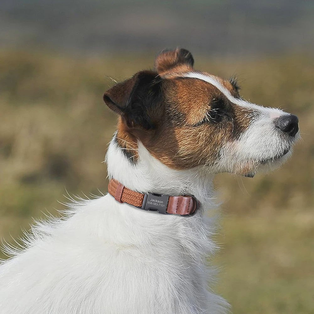 Gepersonaliseerde Hondenhalsband met Naam Gravering - Duurzaam Nylon, Verstelbaar voor Kleine tot Grote Honden