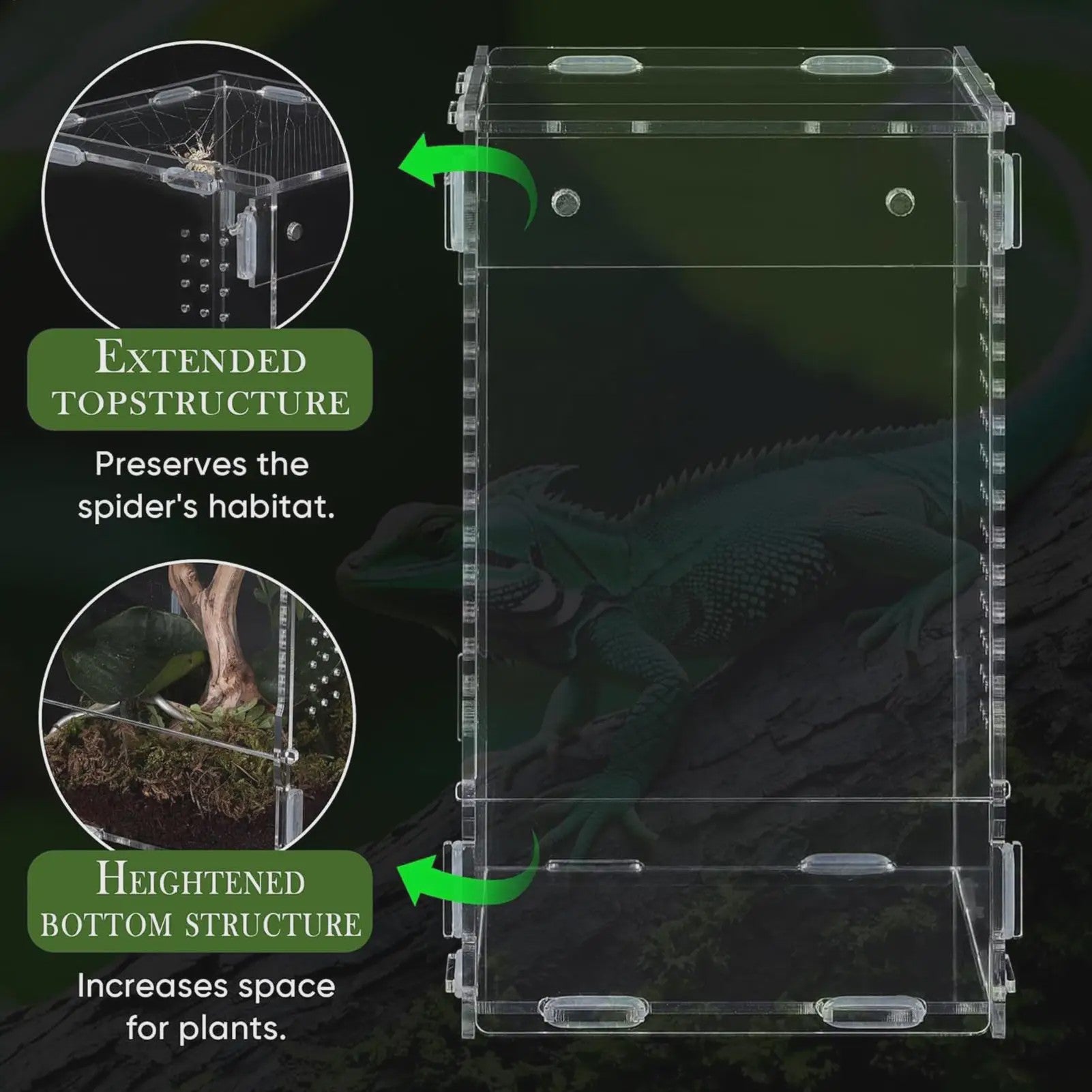 Transparant Acryl Terrarium Kweekbak voor Reptielen, Amfibieën & Spinnen