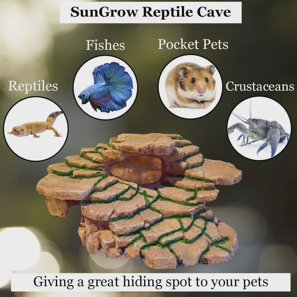 Reptielen Schuilplaats Grot - 3.5 Inch Hoog, 7 Inch Breed - Realistisch Decor & Speelplatform