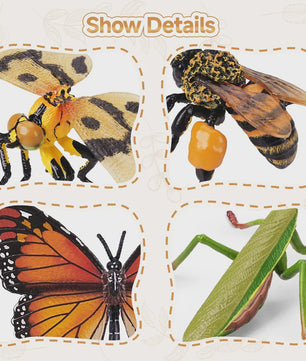 Toymany 12-delige Insecten Speelgoed Set - Realistische Mini Figuren voor Kinderen, Cadeau & Taartdecoratie