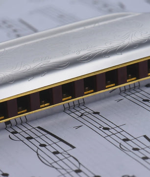 Folkmaster Blues Harmonica - 10 Gaten, 20 Tonen, Diatonisch - Ideaal voor Beginners