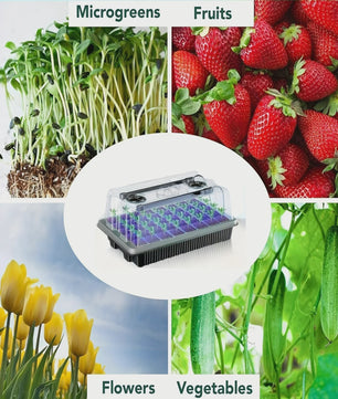 Professionele Zaad Starter Kit: 40 Cellen, 2 Groeilampen & Vochtigheidsregeling