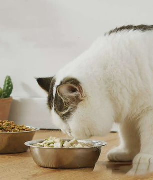 Roestvrijstalen Honden- en Kattenbakken: Duurzaam en Veelzijdig