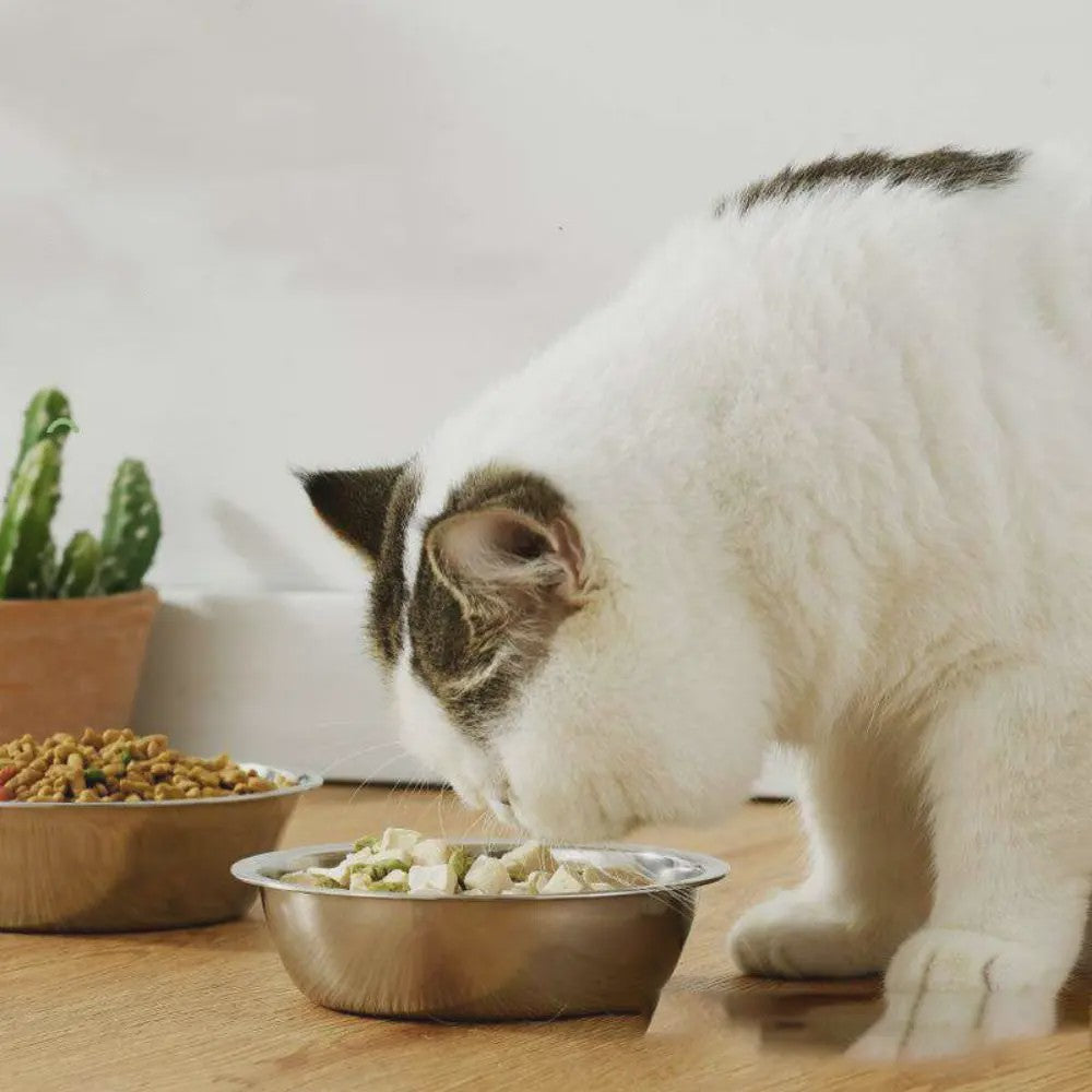 Roestvrijstalen Honden- en Kattenbakken: Duurzaam en Veelzijdig