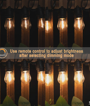 50FT Slinger LED Verlichting Buiten - Dimbare, Kopppelbare en Onbreekbare Tuinlampen