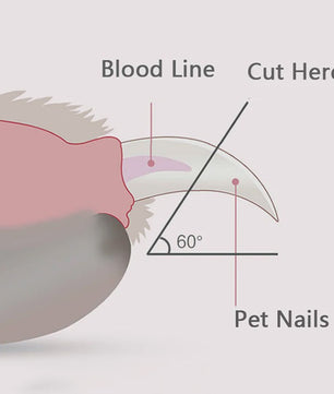 Professionele Honden & Katten Nagelschaar met LED Licht - Veilig Knippen
