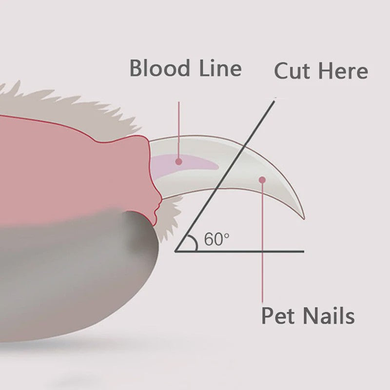 Professionele Honden & Katten Nagelschaar met LED Licht - Veilig Knippen