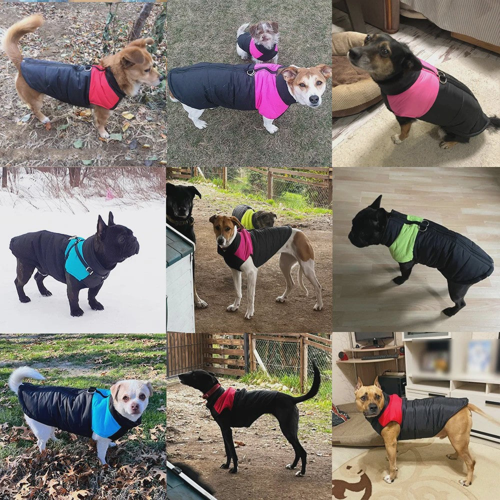 Warme Winter Hond Jas - Winddicht & Waterdicht - Met D-ring voor Lijn