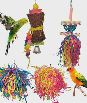 Kleurrijke Vogel Speelgoed Set voor Papegaaien - 3 Delig - Ophangbaar Knaag- en Verstop Speelgoed