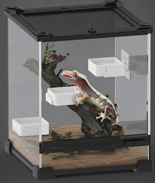Wandmontage Voerbak voor Reptielen - Veilig en Praktisch