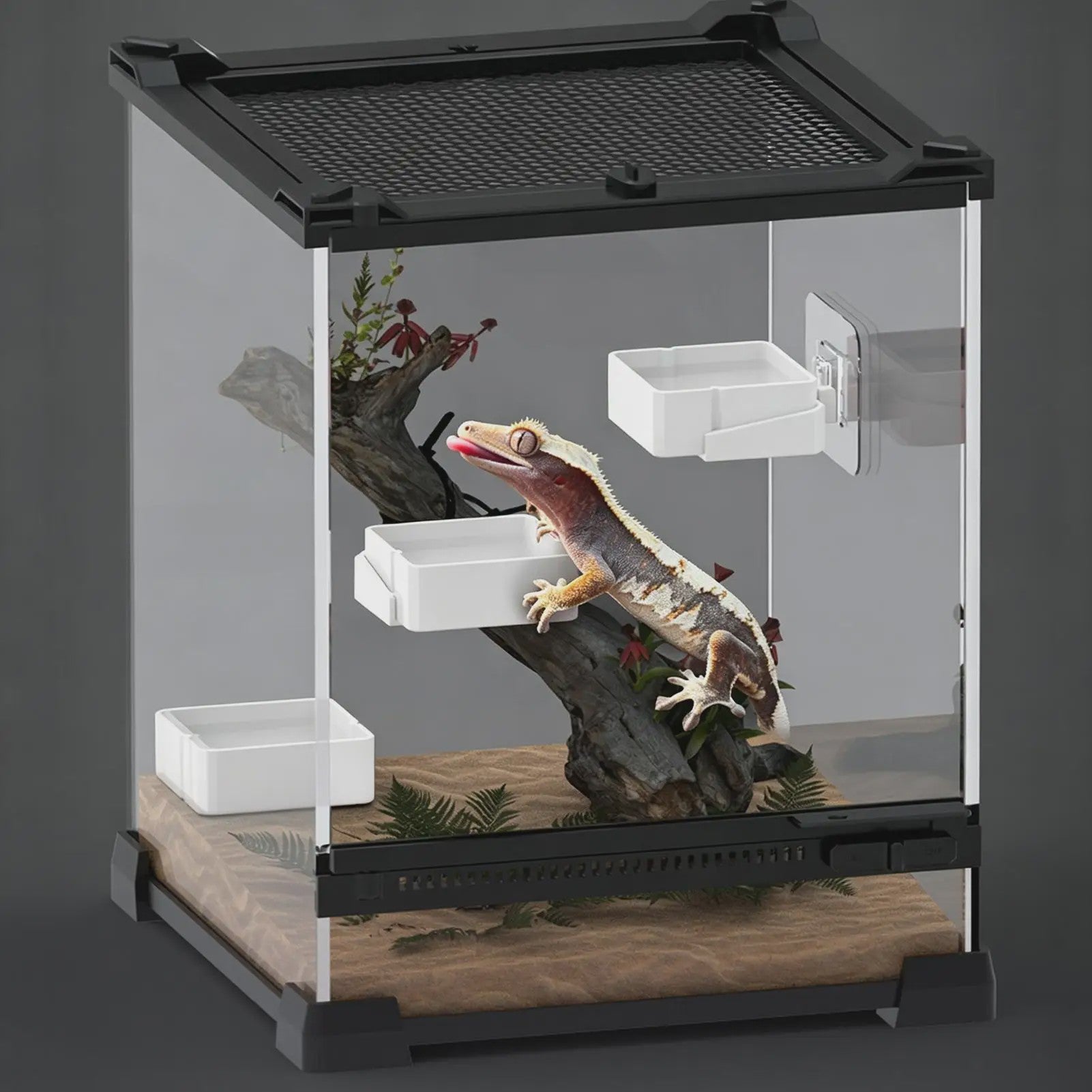 Wandmontage Voerbak voor Reptielen - Veilig en Praktisch