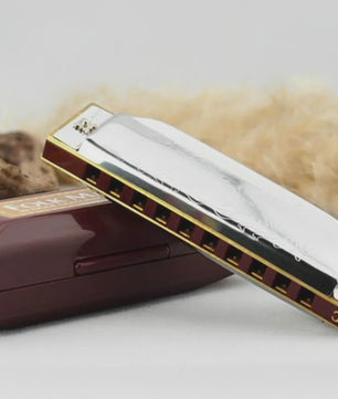 Professionele 10-Gats C-Toon Diatonische Mondharmonica - Zilverkleurig, Inclusief Luxe Koffer