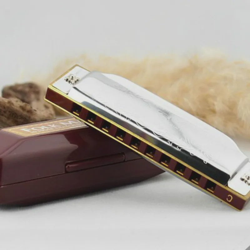 Professionele 10-Gats C-Toon Diatonische Mondharmonica - Zilverkleurig, Inclusief Luxe Koffer