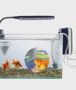 2x Aquarium Voederbeker Kegelvormig - Voor Levend Voer