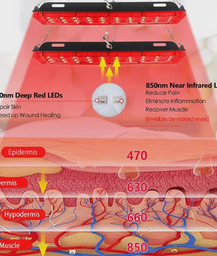 Dubbele LED Roodlichttherapie Lamp met Infrarood voor Pijnverlichting & Huidverzorging