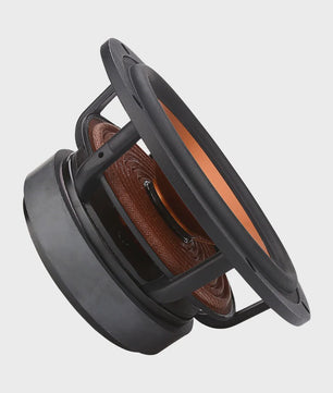 AIYIMA 6.5 inch HIFI Woofer Speaker - 100W Midrange Bass Loudspeaker voor Home Theater & DIY