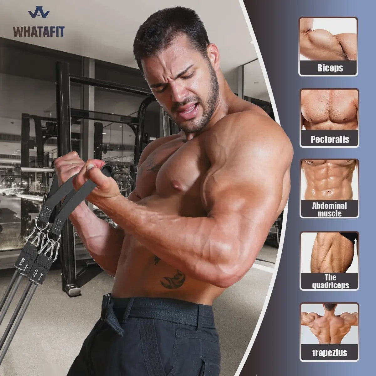 Verstelbare Weerstandsbanden Set (20-200 LBS) voor Krachttraining & Fitness