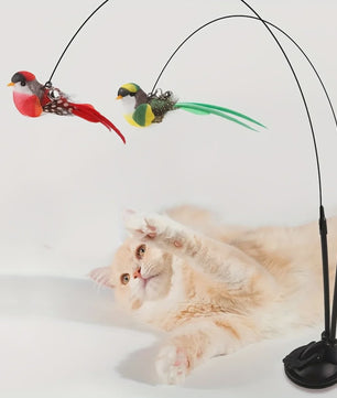 Interactieve Katten Speelstok met Dubbele Vogel en Sterke Zuignap