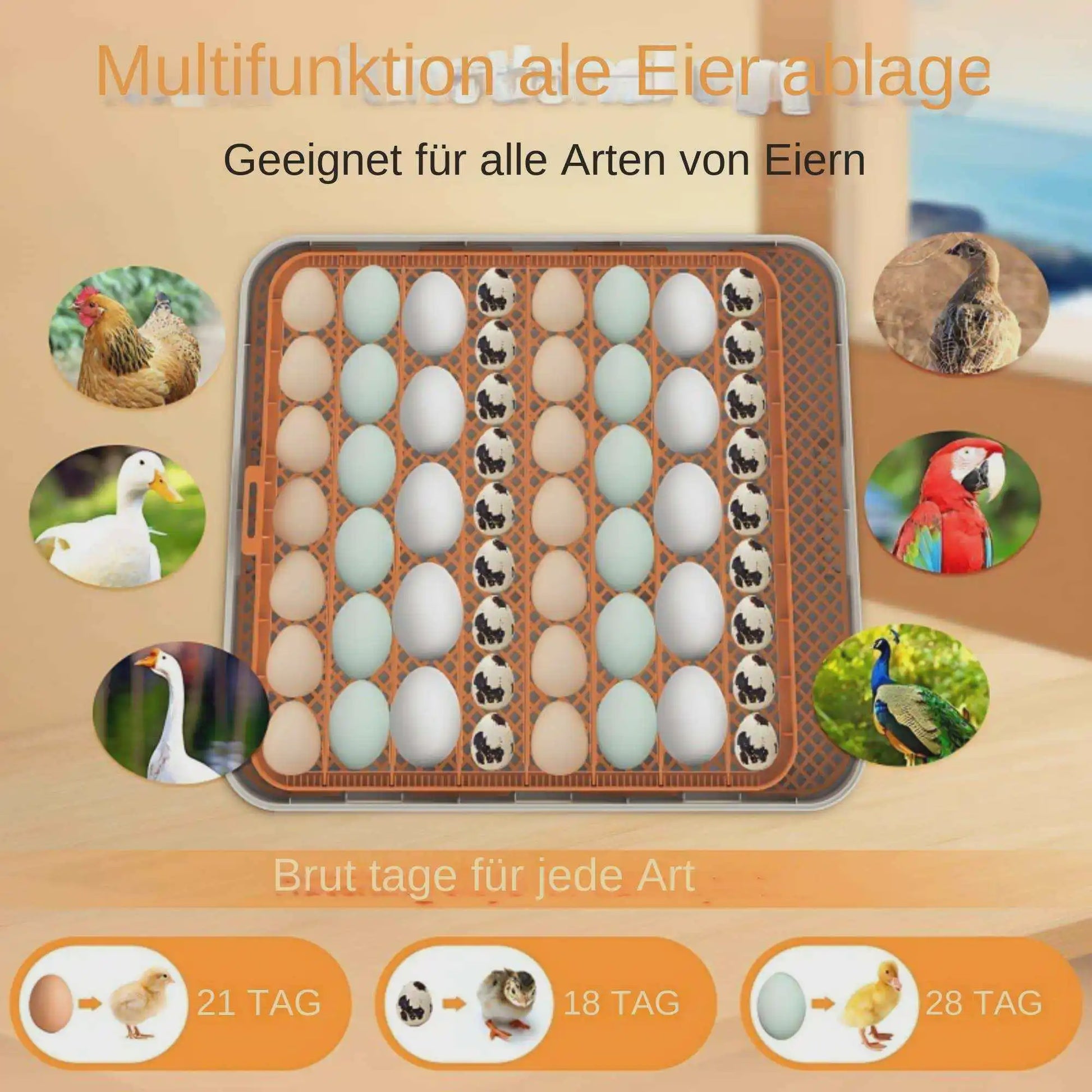 Automatische Broedmachine voor 56 Eieren met LED Candler & Temperatuurregeling