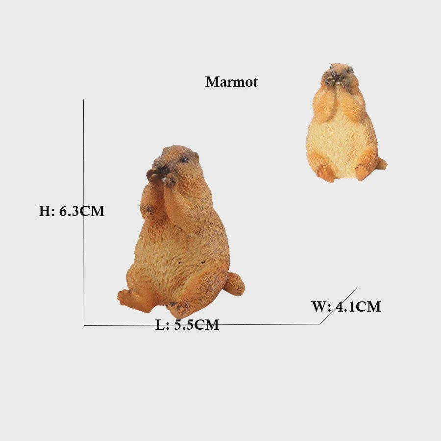 Set van 6 Realistische Dierenbeeldjes: Capibara, Eekhoorn & Marmot Speelgoed