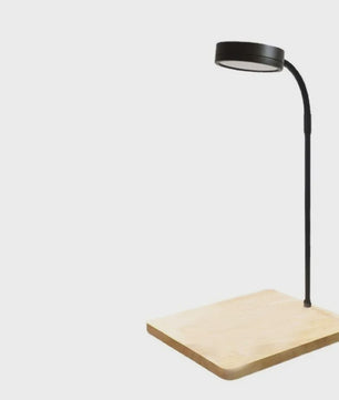 Verstelbare 10W LED Aquarium Lamp met Houten Basis & USB - Ideaal voor Landschapsverlichting