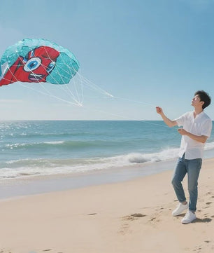 Dual Line Stunt Power Kite - Beginners Kitesurf & Strandplezier