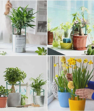 Plantensteun Stokken Set - Groen Plastic - Voor Bloemen & Planten